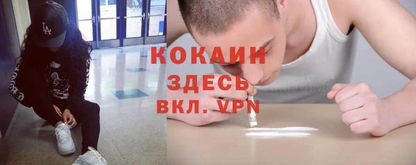 ГАЛЛЮЦИНОГЕННЫЕ ГРИБЫ Алзамай