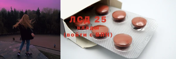 сатива Сатка